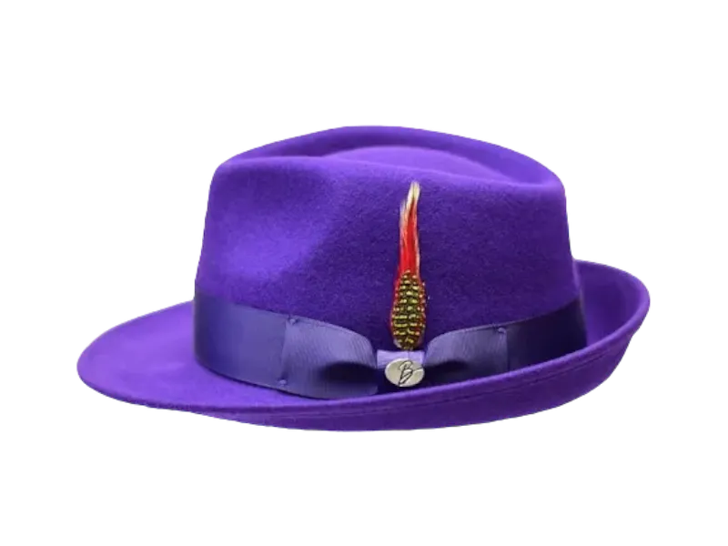 Bruno Capelo Purple Men's Wool Hat Hudson Lite Felt Fedora Hat